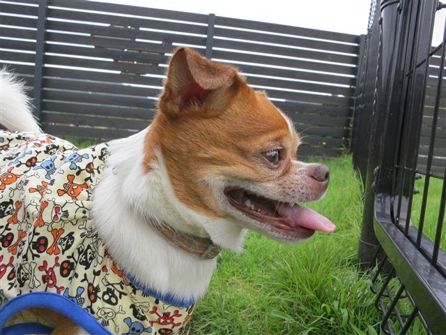 f:id:yasukazu01:20120708103811j:image