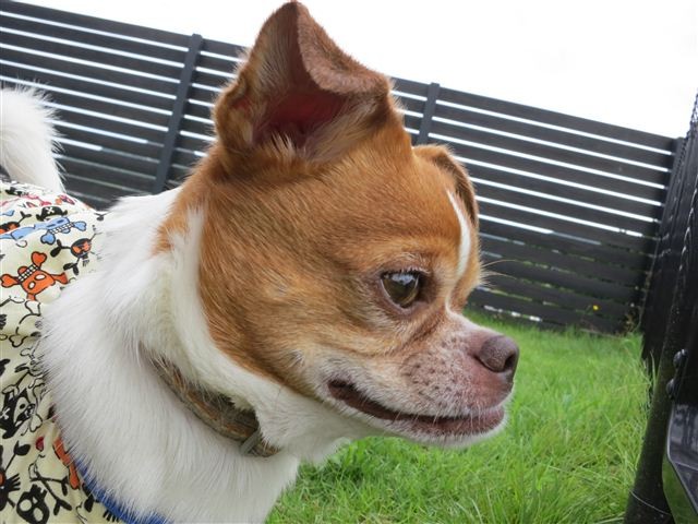 f:id:yasukazu01:20120708103818j:image
