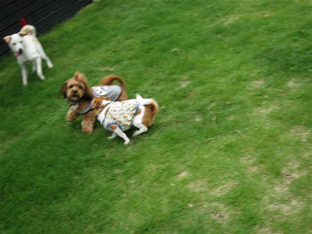 f:id:yasukazu01:20120708110212j:image