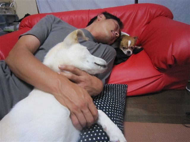f:id:yasukazu01:20120716181455j:image