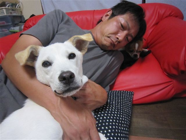 f:id:yasukazu01:20120716181506j:image