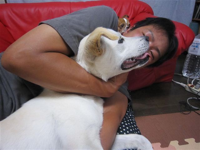 f:id:yasukazu01:20120716181817j:image