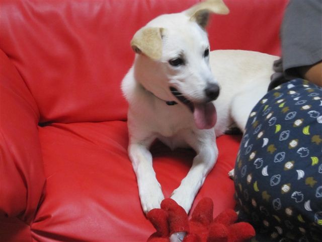 f:id:yasukazu01:20120716183148j:image
