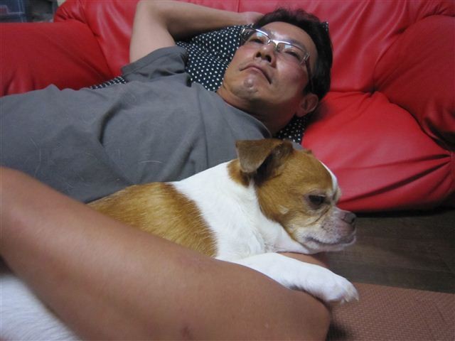 f:id:yasukazu01:20120716204839j:image