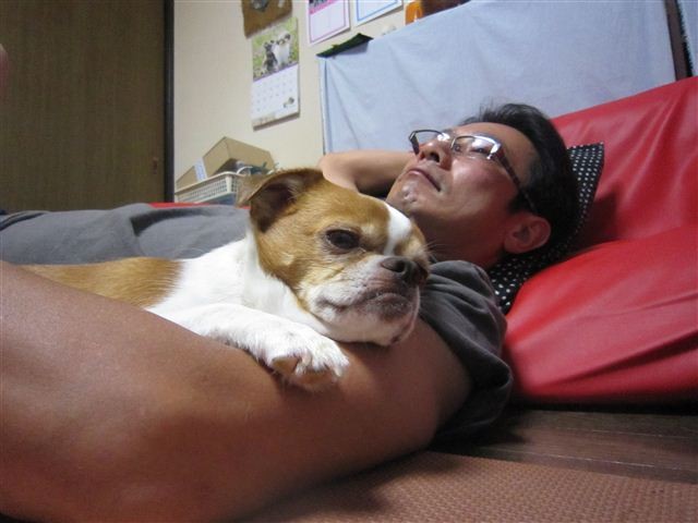 f:id:yasukazu01:20120716204848j:image