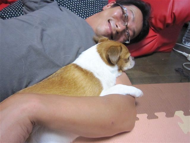 f:id:yasukazu01:20120716204906j:image