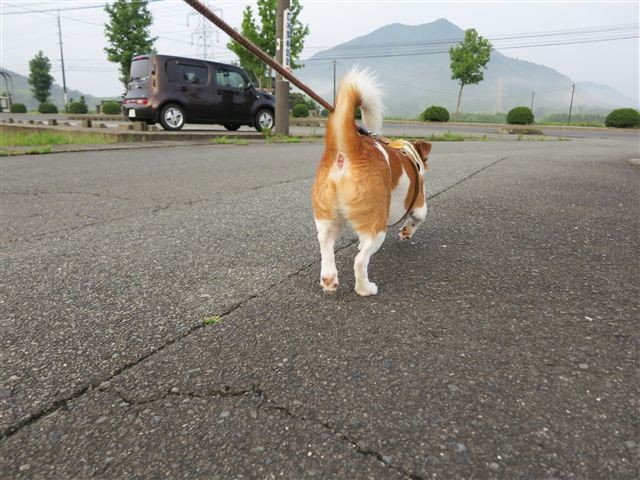 f:id:yasukazu01:20120723060524j:image