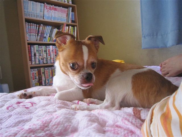 f:id:yasukazu01:20120723131505j:image f:id:yasukazu01:20120723131505j:image