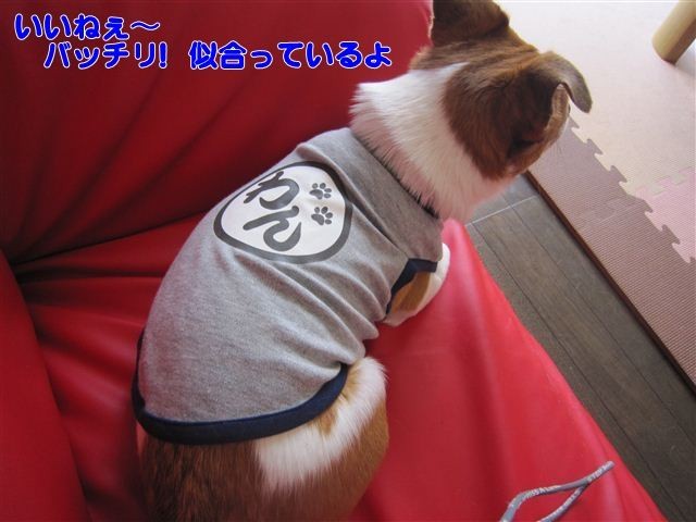 f:id:yasukazu01:20120801123939j:image