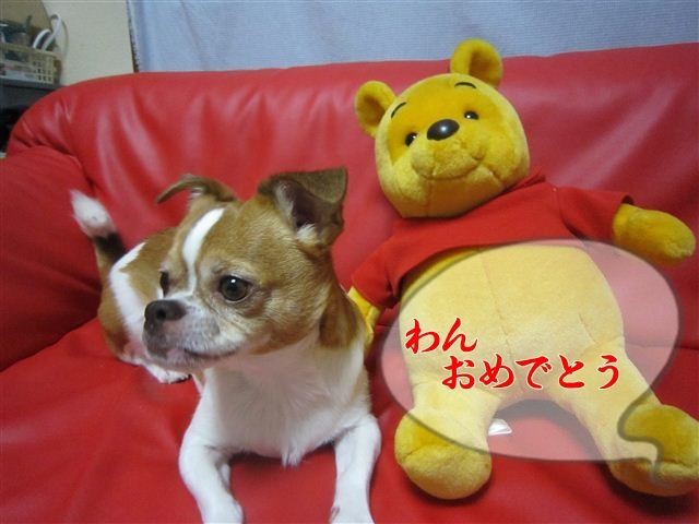 f:id:yasukazu01:20120801195411j:image