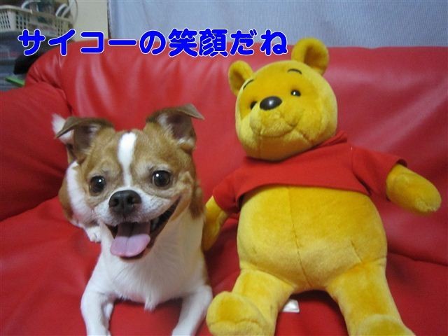 f:id:yasukazu01:20120801195416j:image