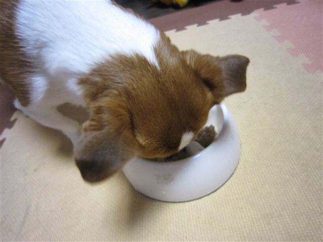 f:id:yasukazu01:20120801210136j:image