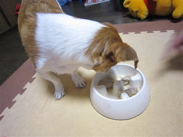 f:id:yasukazu01:20120801210144j:image