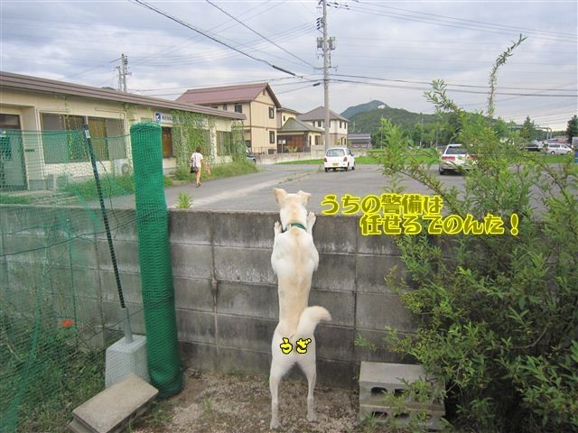 20120805182610