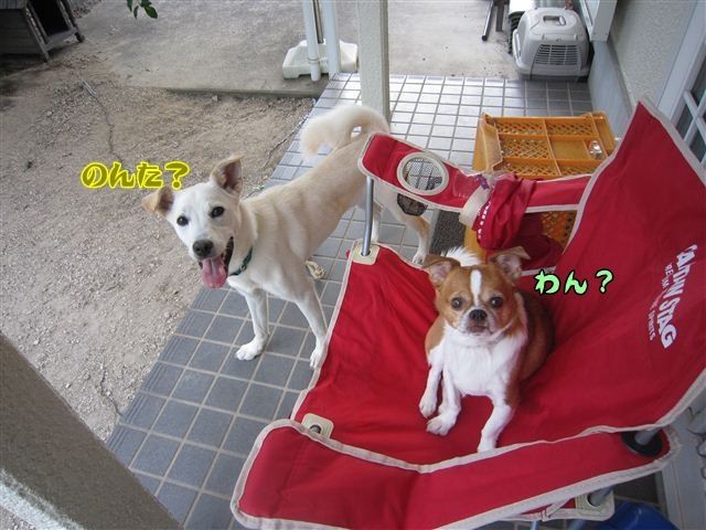20120805182905