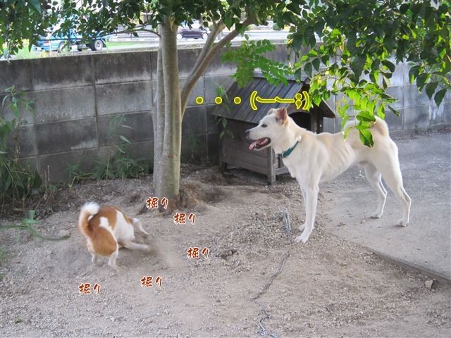 20120805185251