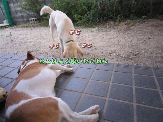 20120805191010