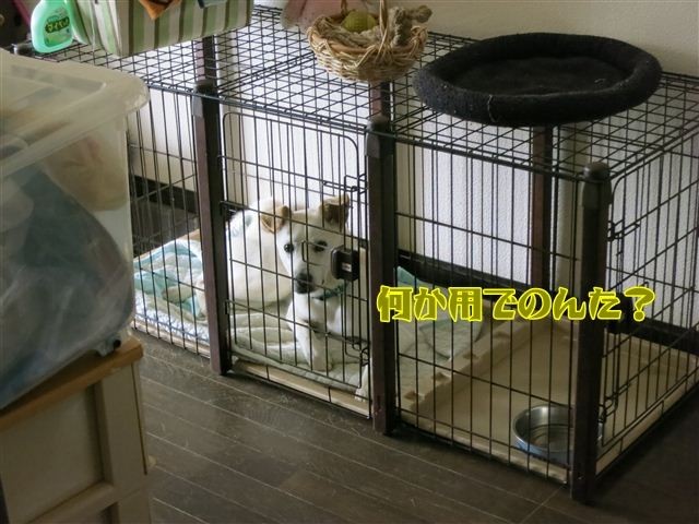 f:id:yasukazu01:20120807075622j:image f:id:yasukazu01:20120807075622j:image