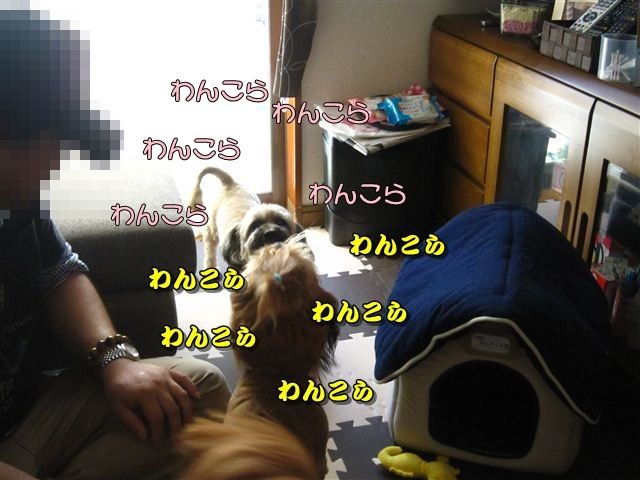 f:id:yasukazu01:20120816170018j:image f:id:yasukazu01:20120816170018j:image
