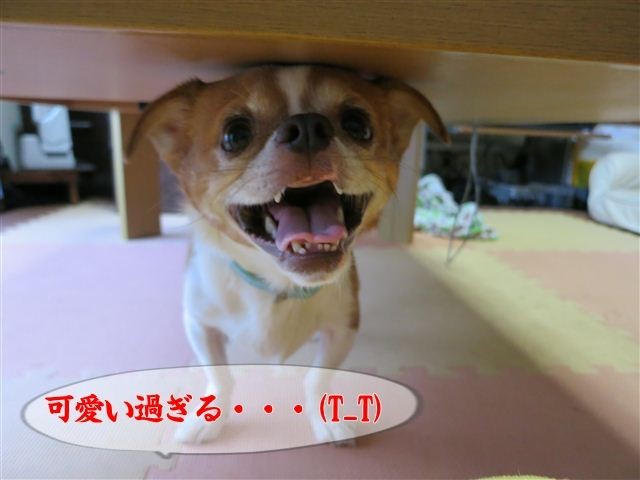 20120816180549