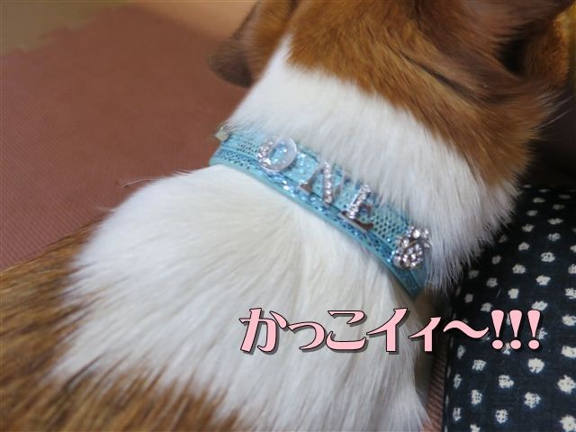 f:id:yasukazu01:20120816180612j:image