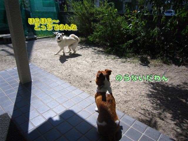 20120819102109