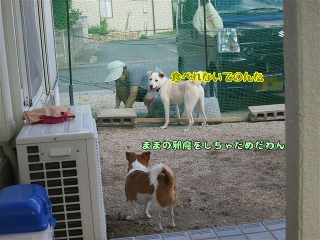 f:id:yasukazu01:20120821164506j:image f:id:yasukazu01:20120821164506j:image