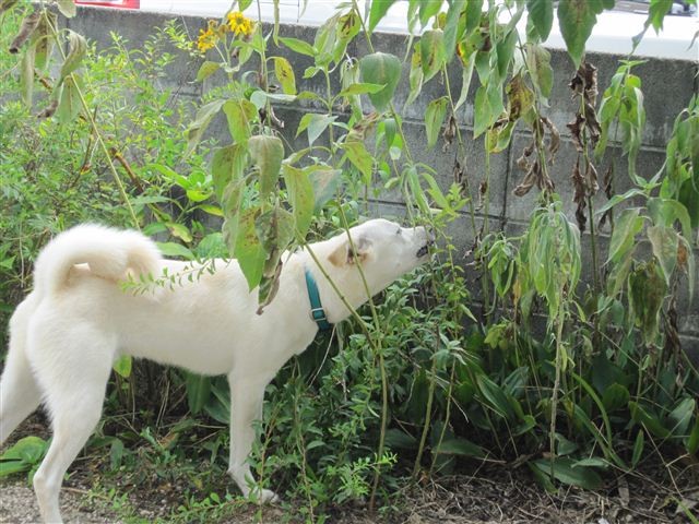 20120823145659
