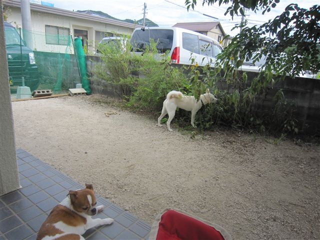 20120823145706