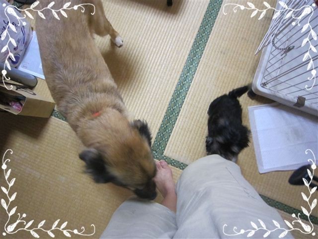 f:id:yasukazu01:20120824153142j:image