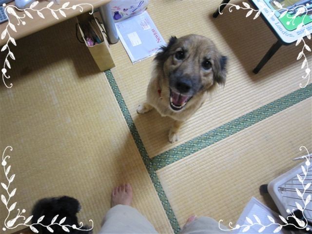 f:id:yasukazu01:20120824153153j:image
