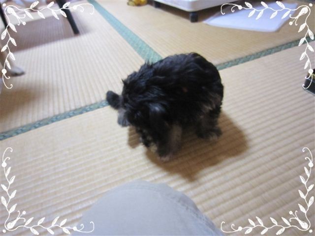f:id:yasukazu01:20120824153325j:image