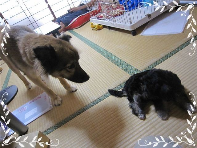 f:id:yasukazu01:20120824153330j:image