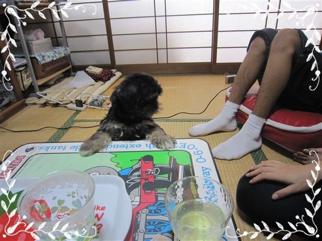 f:id:yasukazu01:20120824153502j:image