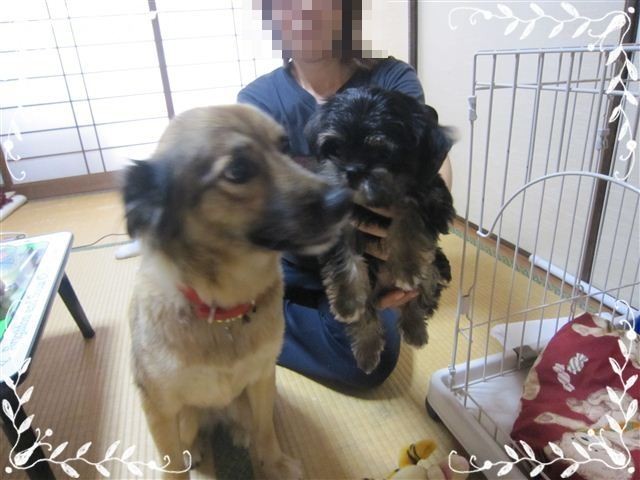 f:id:yasukazu01:20120824153623j:image