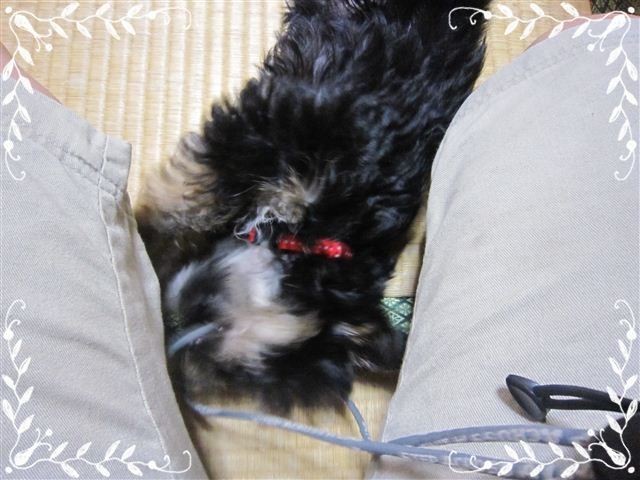 f:id:yasukazu01:20120824154012j:image
