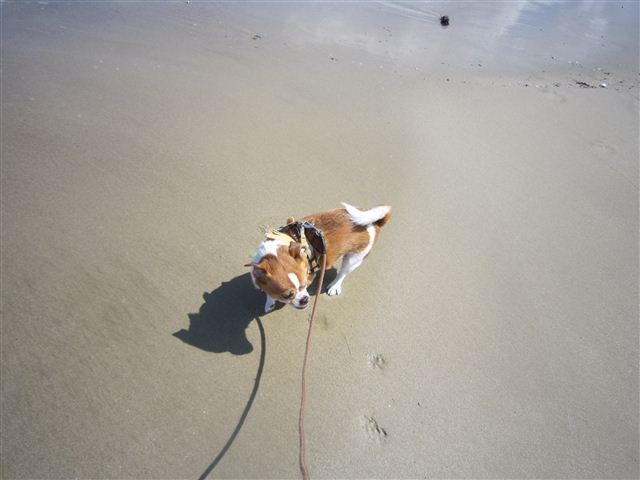f:id:yasukazu01:20120902102600j:image f:id:yasukazu01:20120902102600j:image