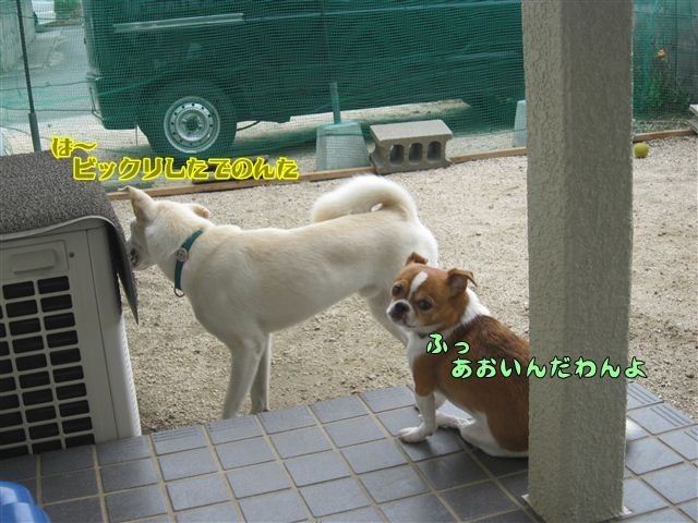 f:id:yasukazu01:20120909112106j:image