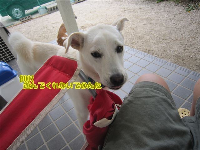f:id:yasukazu01:20120909112618j:image