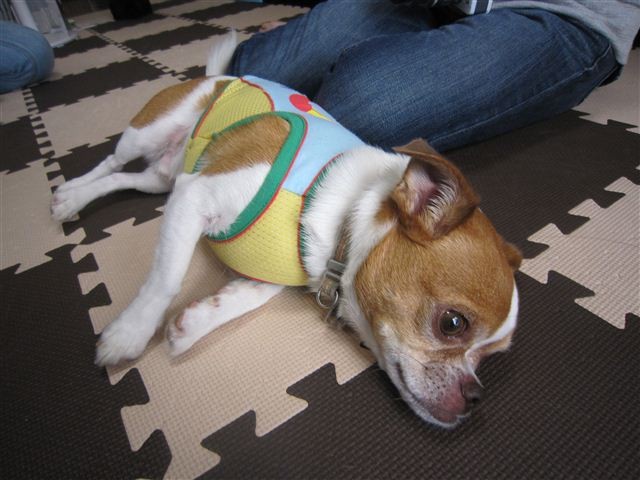 f:id:yasukazu01:20120909143735j:image