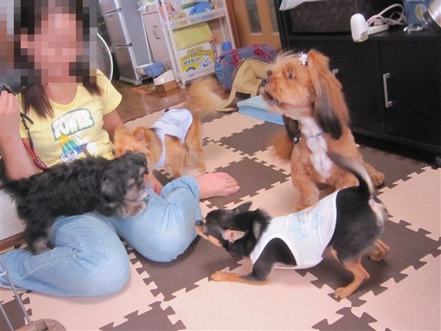 f:id:yasukazu01:20120909144512j:image