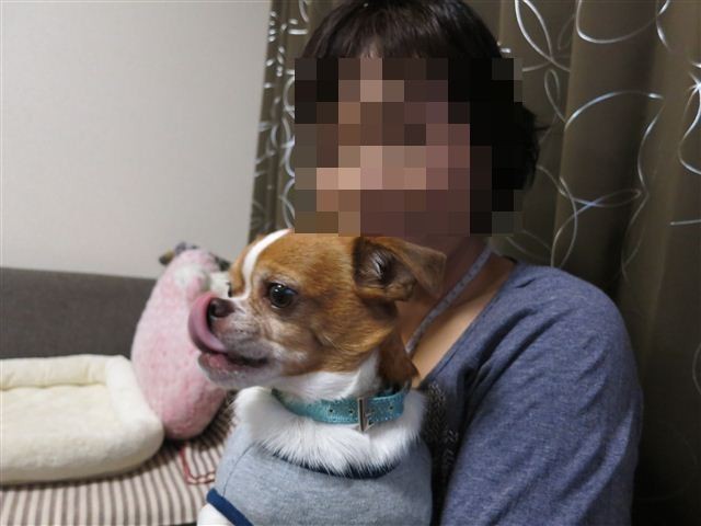 f:id:yasukazu01:20120916180533j:image f:id:yasukazu01:20120916180533j:image