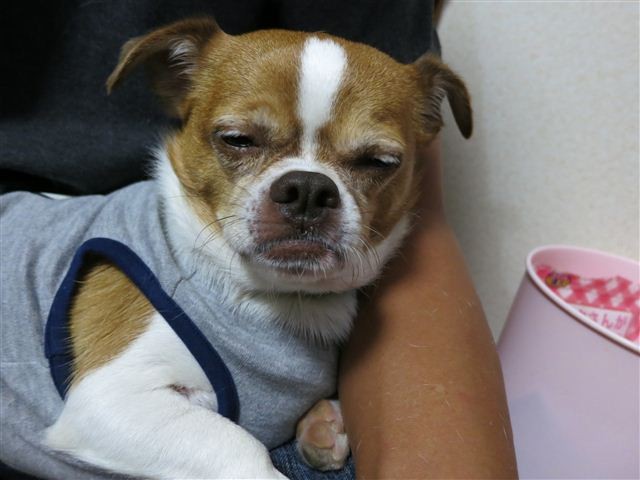 f:id:yasukazu01:20120916191208j:image f:id:yasukazu01:20120916191208j:image