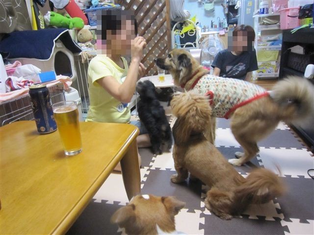 f:id:yasukazu01:20120916193452j:image f:id:yasukazu01:20120916193452j:image