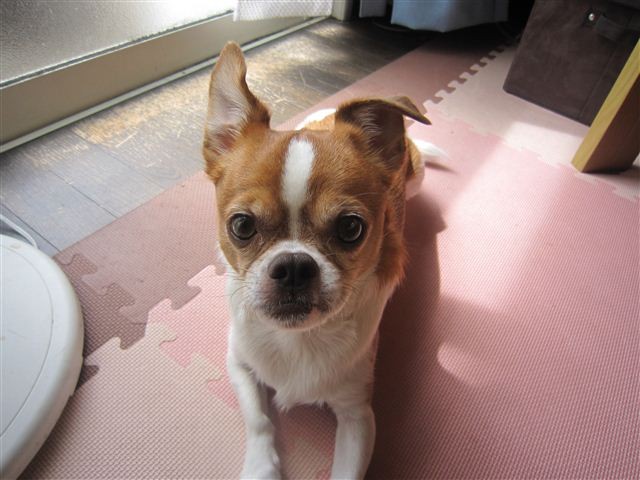 f:id:yasukazu01:20120917114331j:image