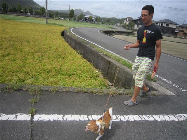 f:id:yasukazu01:20120917115131j:image