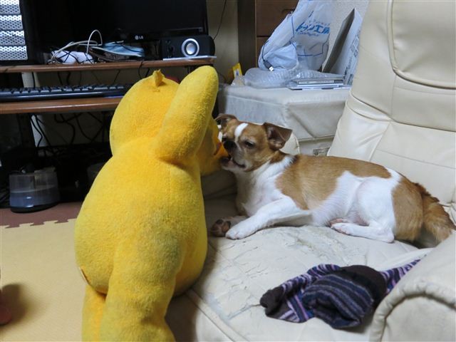 f:id:yasukazu01:20120922231537j:image
