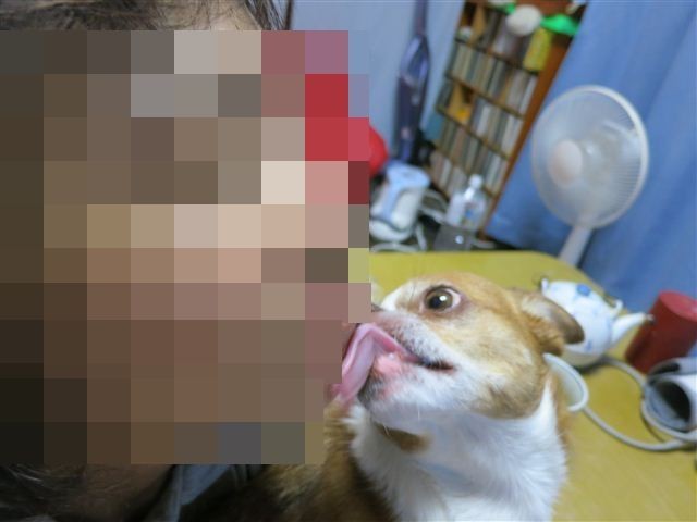 f:id:yasukazu01:20120924221605j:image