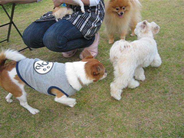 f:id:yasukazu01:20121003112320j:image