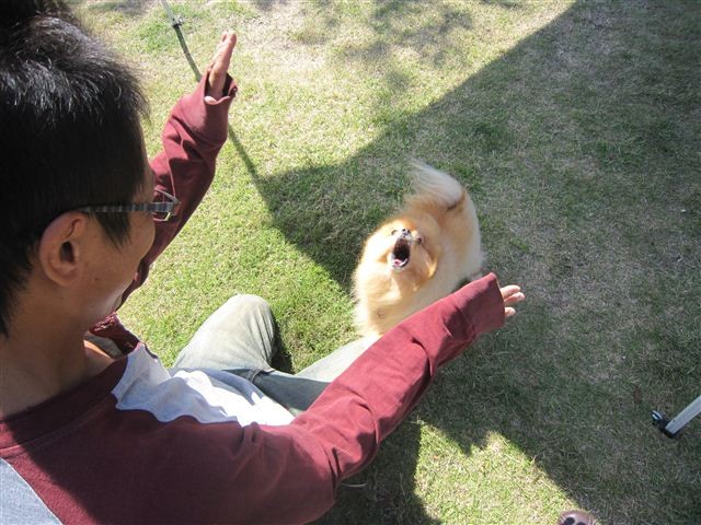20121003120441